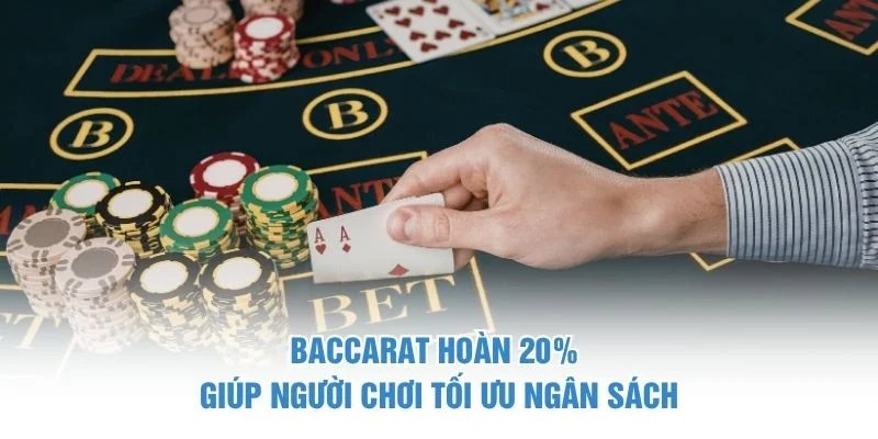 Baccarat hoàn 20%