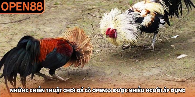 Đá gà OPEN88