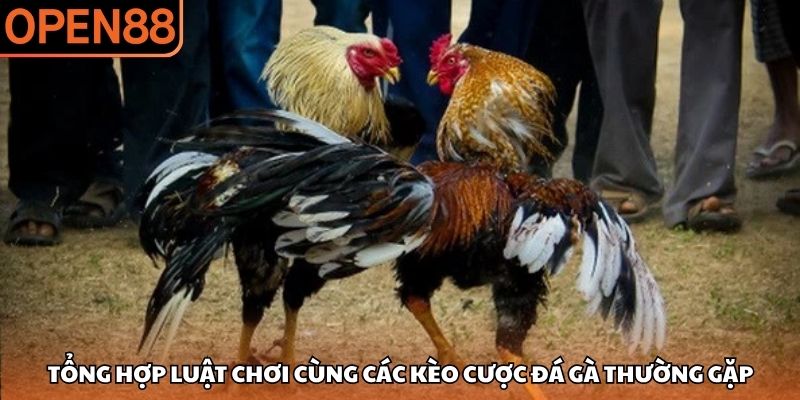 Đá gà OPEN88